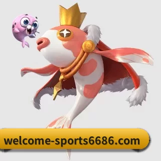 6686体育 APP