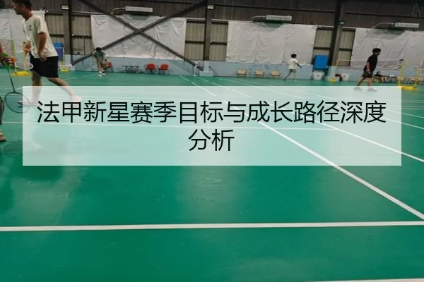 法甲新星赛季目标与成长路径深度分析